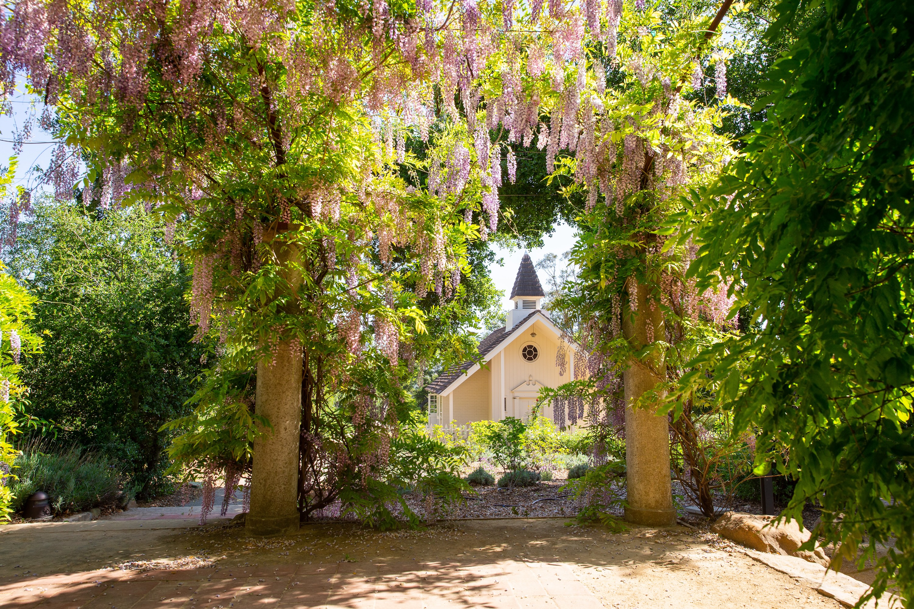 chapel with wysteria