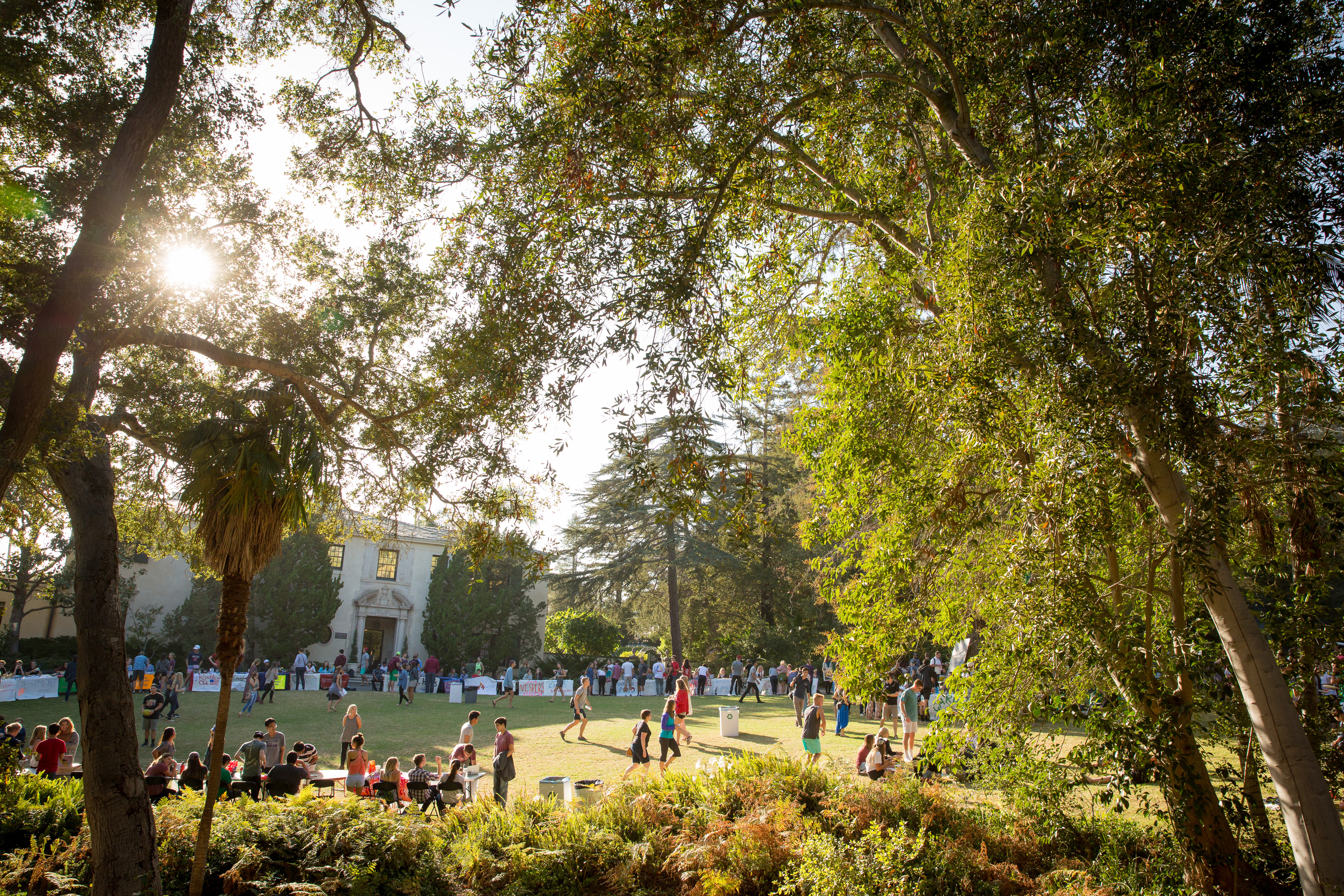 Community event student gathering on lawn outside Kerrwood Hall