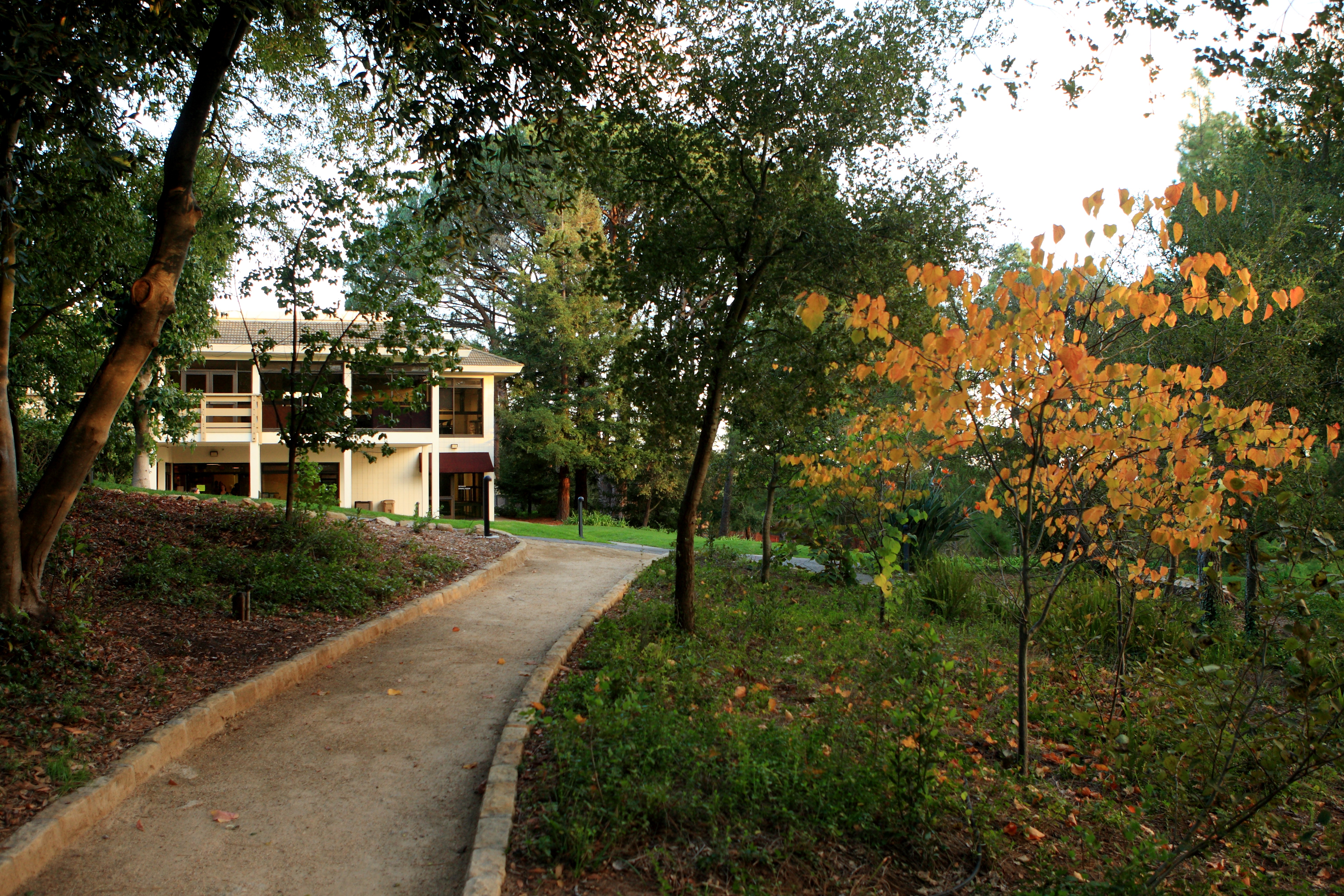westmont campus pathway