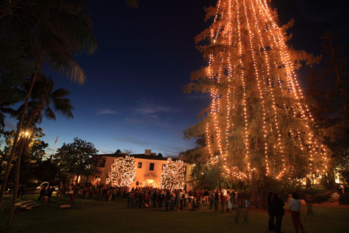 Tree-Lighting